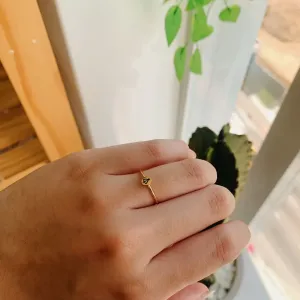 ANEL CHAPINHA COM NOSSA SENHORA. BANHADO A OURO 18K.